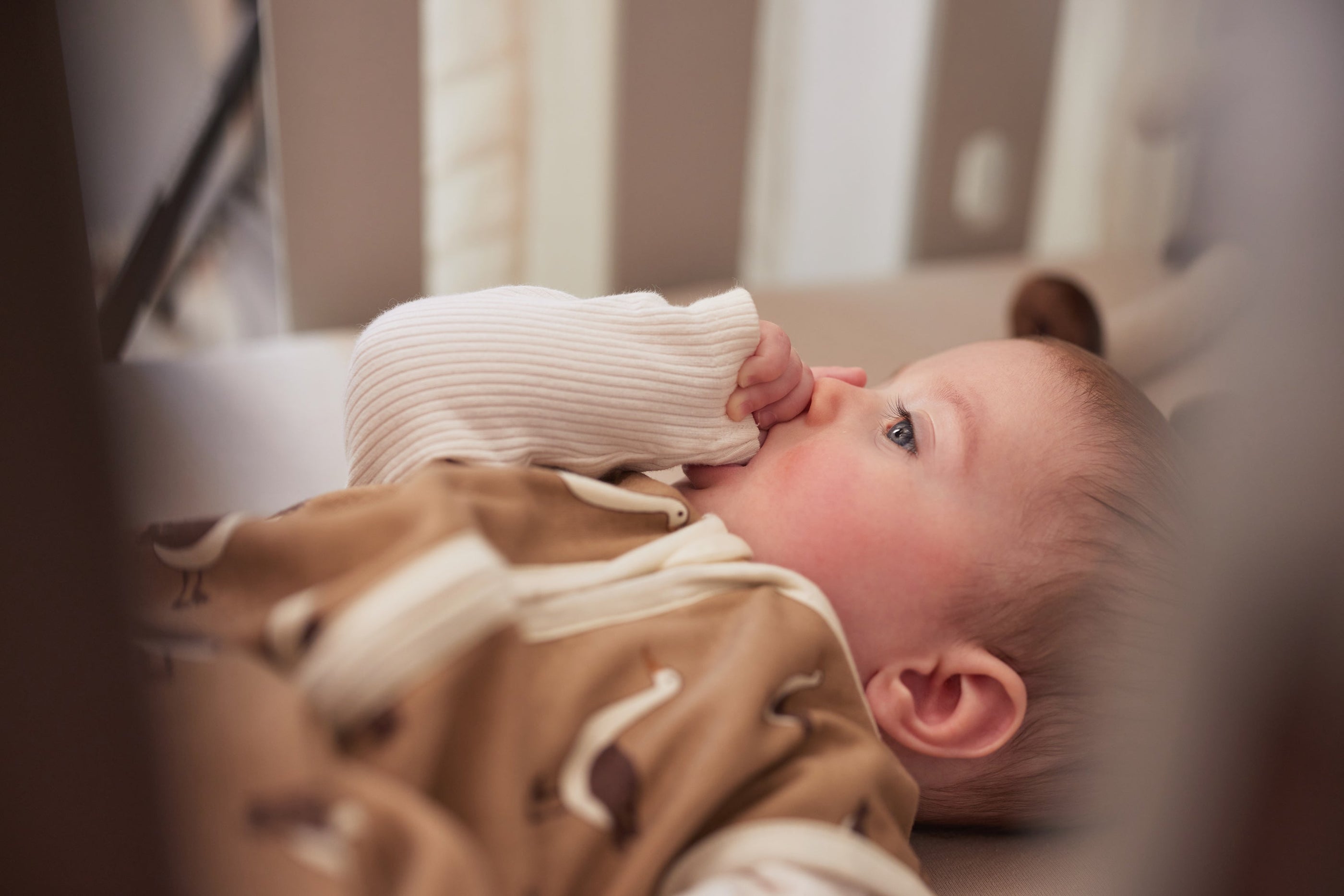 The Life of a Young Mother